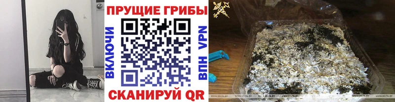 Псилоцибиновые грибы прущие грибы Певек